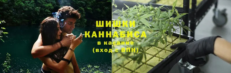 наркота  Бирюсинск  Бошки марихуана OG Kush 